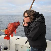 Fotos de Morgen Wowchuk