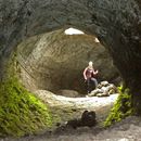 Immagine di Hiking to grotta dei lamponi (Mount Etna – North S