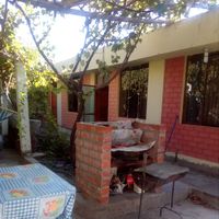 terry roncalla的照片