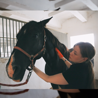 Polina Petukhova's Photo