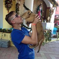 Le foto di Stefan Bobe