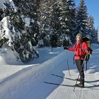 André Pelletier's Photo