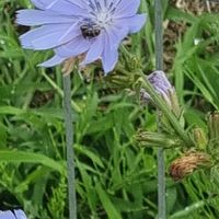 Le foto di Michaël N.