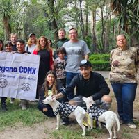 Alfonso Enriquez's Photo