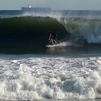 Tristan Bailey's Photo