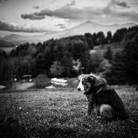 Jared McQueen's Photo