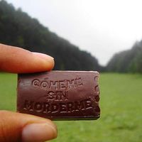 Sophia Olivares的照片