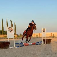 Gildardo Jacob Sanchez Martin's Photo