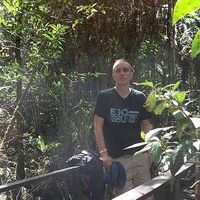 Fotos de Julius Wolff