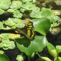 Nicole Tremblay's Photo