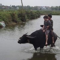 Jan Skarstein's Photo