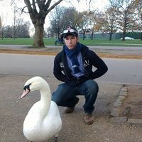 Matthew Lluis的照片