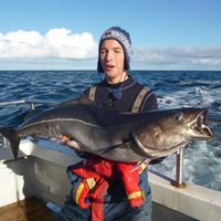 Andre Augustsson的照片