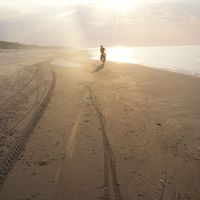 Zdjęcia użytkownika Dawid Celek