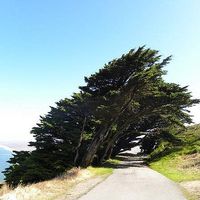 Фотографии пользователя Ella Barlow