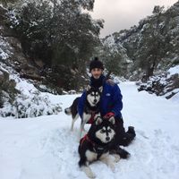 GERARD MARCE's Photo