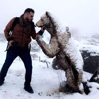 Aaljaleel Mohammed's Photo