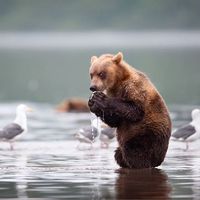 MIkhail Mikhail's Photo