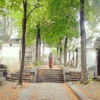 Alexandra Almeida的照片