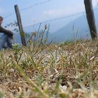 Chris Thompson's Photo