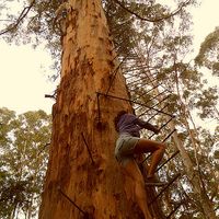 Nikki Barbettini's Photo