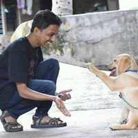 Fotos de Sachin Karanth