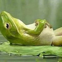 Didelot Catherine's Photo