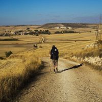 Fynn Schilling's Photo