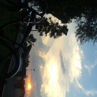 Dante  Benitez的照片