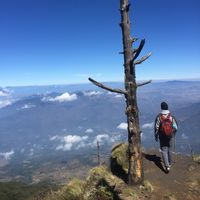 Brenden Spangler's Photo