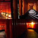 фотография Fushimi Inari Night Hike & Language Exchange 🦊🌜