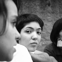 Фотографии пользователя Camila Nori