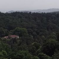 Saadet Basaran的照片