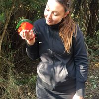 Silje Ulvestad的照片