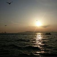 Hasan Bilgin的照片