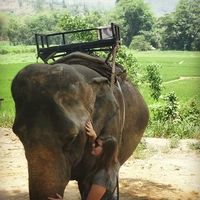 Tayzha Tasman's Photo