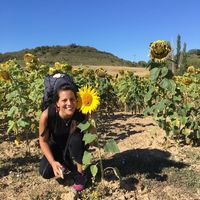 elisa chiumarulo's Photo