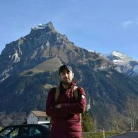 Mohammad Reza Rostami的照片