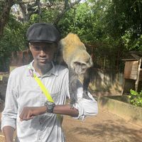 Kaldein lavoste的照片