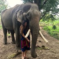 Le foto di Gillian Meyer