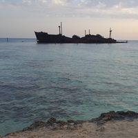 Younes Rahmani's Photo