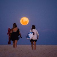 Delfina Rodriguez's Photo