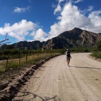 Dai Romagnoli's Photo