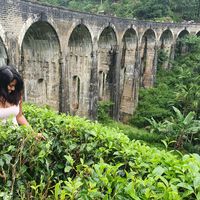 Fotos de Anika  Williamson