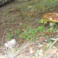 Sylvie Lelu的照片