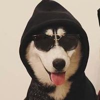 Joao Marcos Pinho的照片