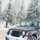 Trilokinath's picture