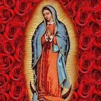 Fotos von Kike Muniz