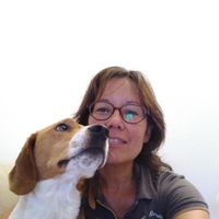 Photos de Sophie Fonfec