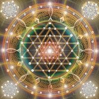 Filipe Pereira的照片